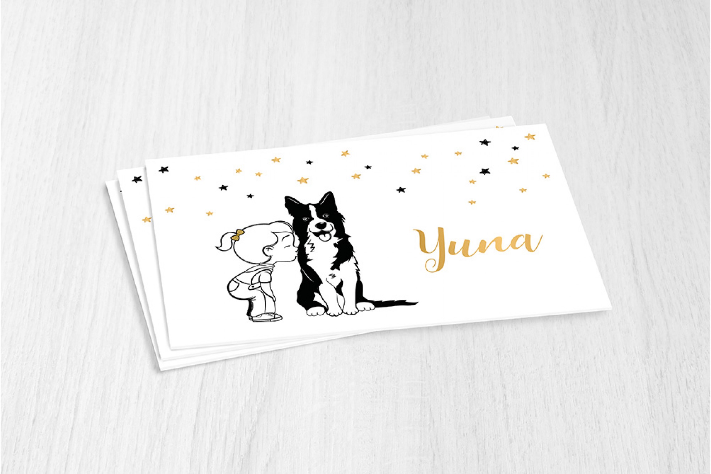 Meisje met Border Collie